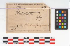 Etikett zu Bronzesitula (NHMW-PRAE-001391)